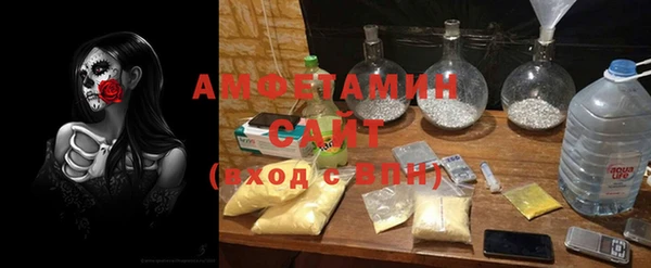 шишки Арсеньев