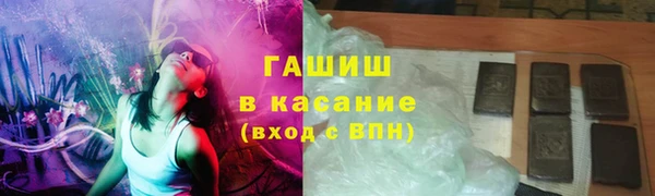 шишки Арсеньев