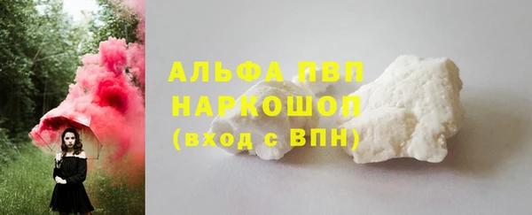 шишки Арсеньев