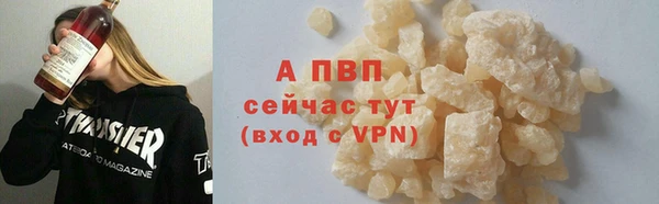 шишки Арсеньев