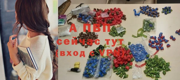 шишки Арсеньев
