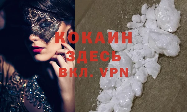 шишки Арсеньев